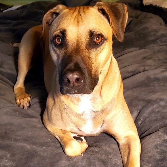 Jamiet5 is Live - Picture 9 of 15